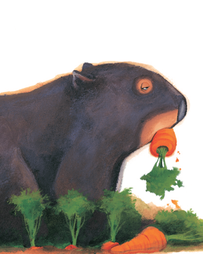 A cartoon wombat eating a carrot
