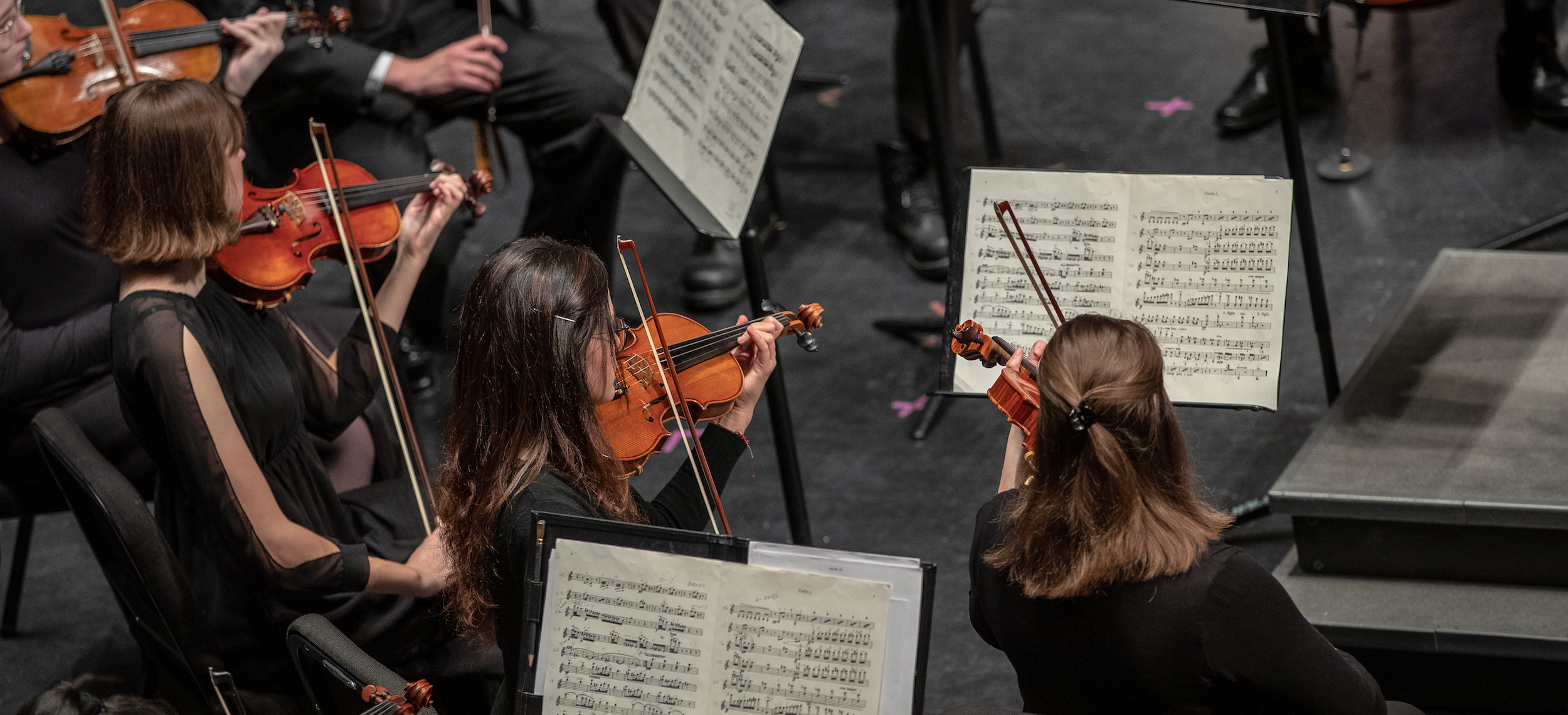 Members of the orchestra playing their violins
