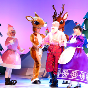 Santa on stage surrounded by elves and reindeer.