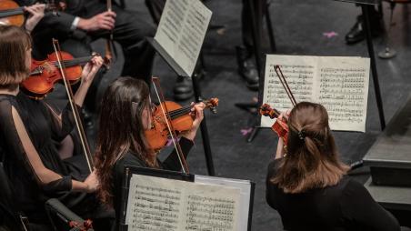 Members of the orchestra playing their violins